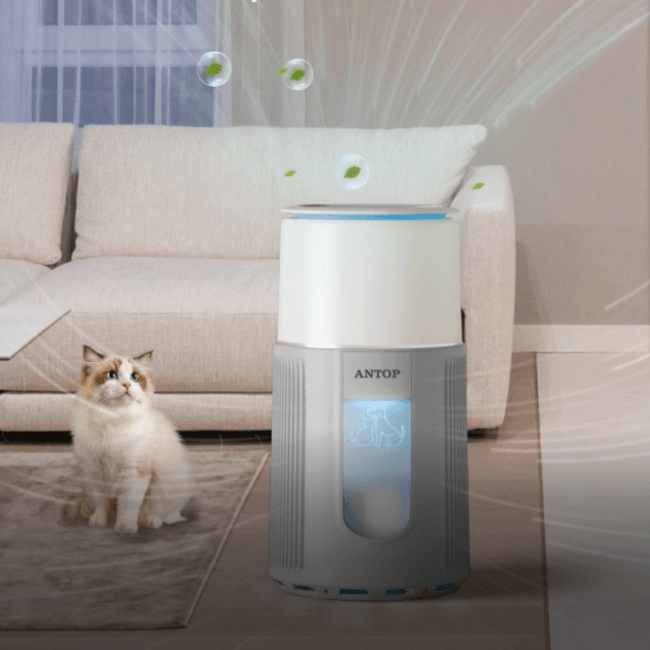 Your Ultimate Air Cleaner Companion: Choosing the Perfect Air Purifier