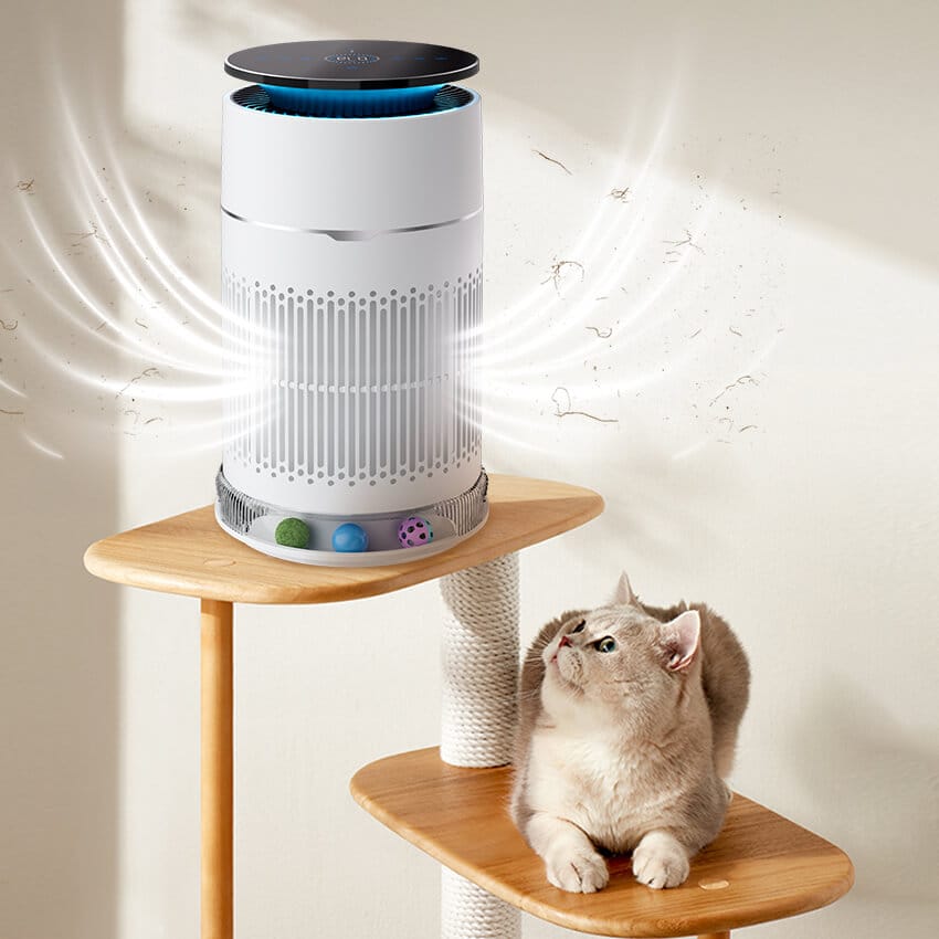 40%-60% Constant Health Humidity