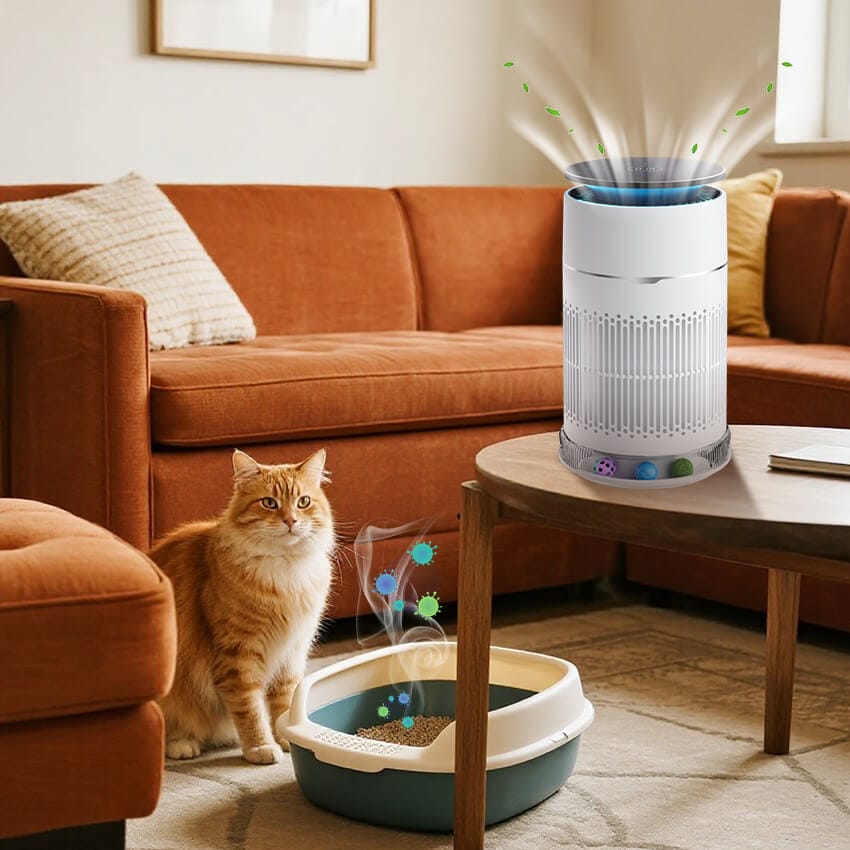 2200mL/h Humidification Capacity