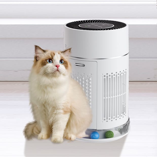 Water Purification Filter