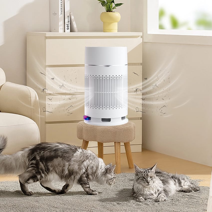 40%-60% Constant Health Humidity