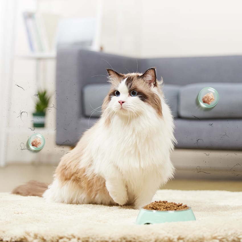 40%-60% Constant Health Humidity