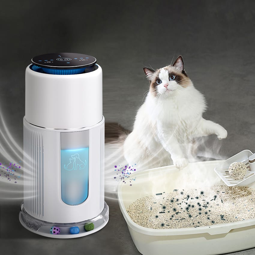 2200mL/h Humidification Capacity