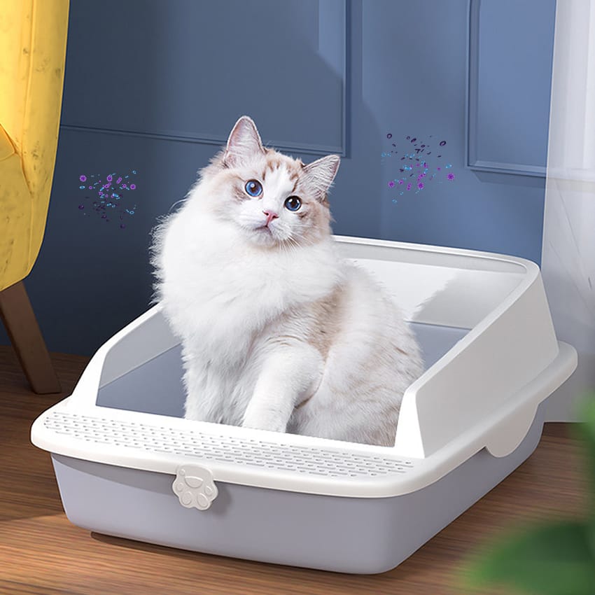 2200mL/h Humidification Capacity