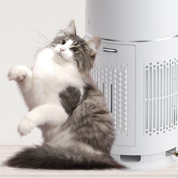 Water Purification Filter