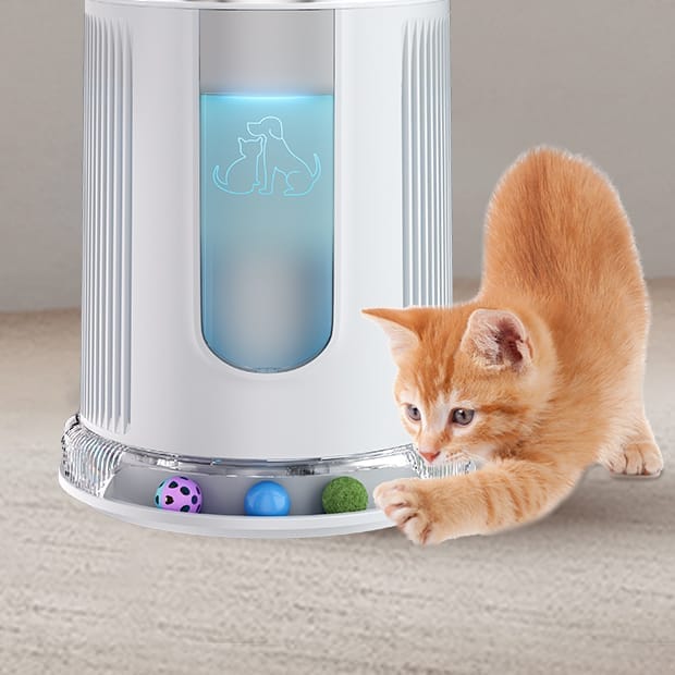 Water Purification Filter