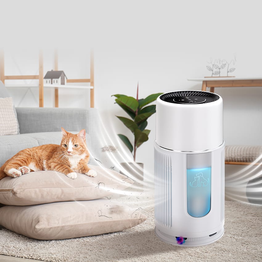 40%-60% Constant Health Humidity